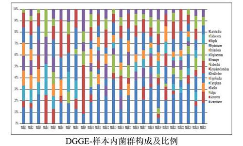 20 DGGE-样本内菌群构成及比例
